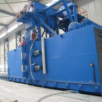 Roller Steel Shot Blasting Machine 